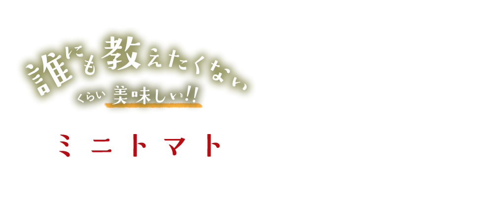 誰にも教えたくないくらい美味しい！！ミニトマト