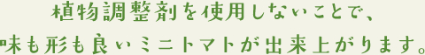 植物調整剤を使用しないことで、味も形も良いミニトマトが出来上がります。